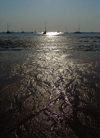 Darwins Strand.....