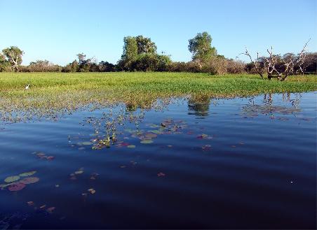 Yellow Waters