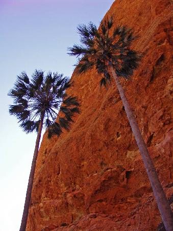 Auf dem Mini Palm Gorge Walk