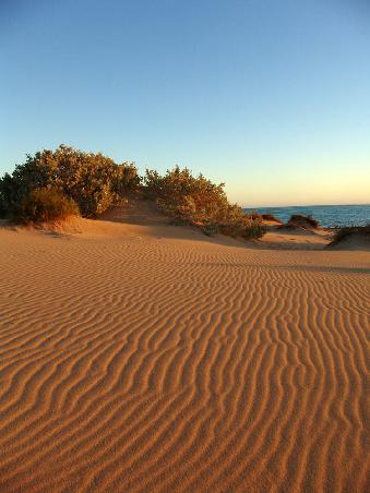 Dünen am Tolki Beach