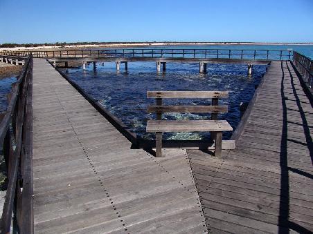 Boardwalk von dem man die Stromatoliten sehen kann