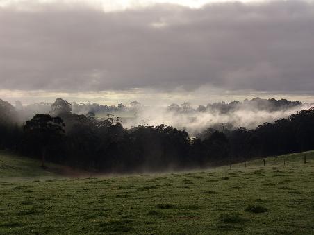 Pemberton Morning