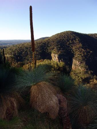 In den Adelaide Hills