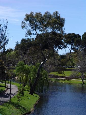 Torrens River in Adelaide