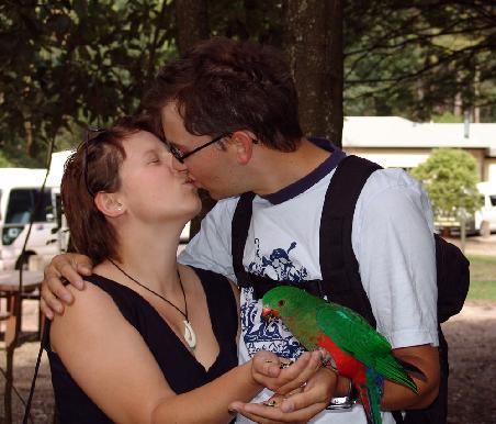 Wir und ein King Parrot