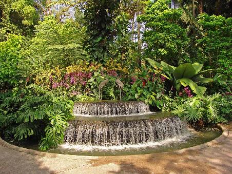 Orchid Garden