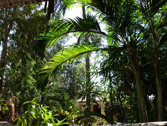 Aussicht von unserem Balkon