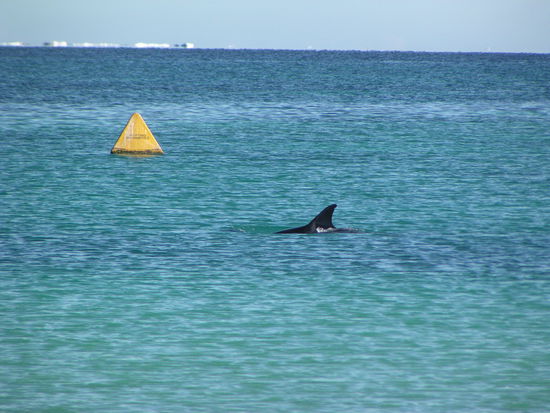 Bucht von Coral Bay.