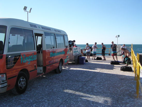 Tauchen am Navy Pier.