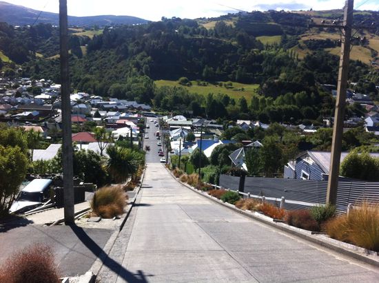 World's Steepest Street (Guiness Record)