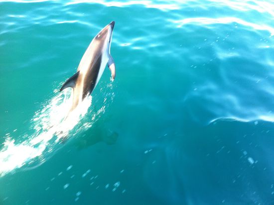 Kleiner Sprung als Atempause 