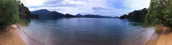Panoramabild der "Govener Bay" nahe Picton. Die Sandstruktur fand ich sehr bemerkenswert. Sehr grob und in goldener Farbe. Sieht auf der Hand aus wie Cornflakes 