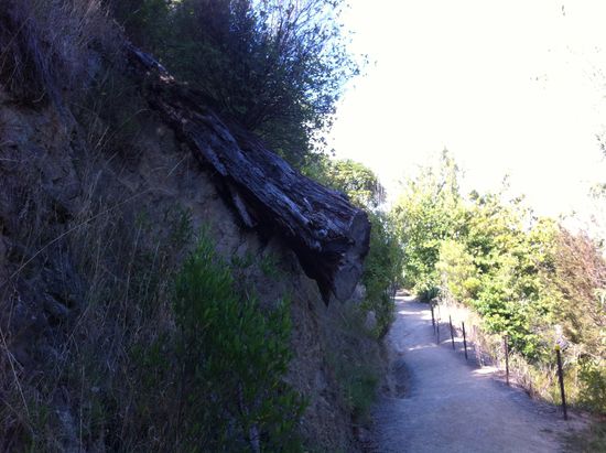 Jetzt bloß nicht abrutschen