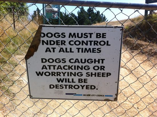 Hier wird nicht lange gefackelt!