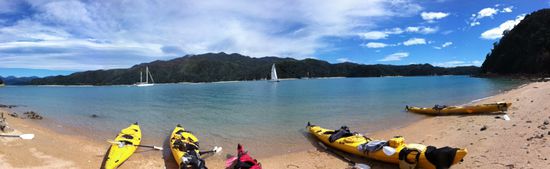 Panorama vom Strand Adele Islands fotografiert