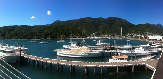 Hafen von Picton