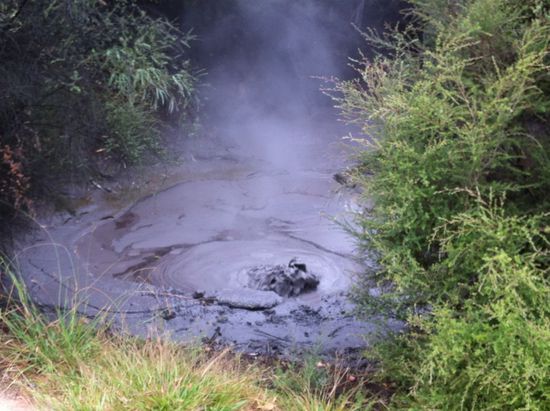 Blubb im Rotorua Stadtpark