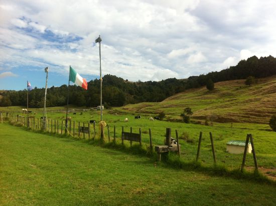 Stadion neben der Kuhweide