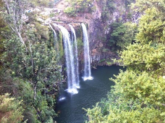 Whangarei Falls