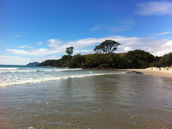 Letzter Strand-Zwischenstopp auf dem Weg nach Auckland. Wo das war ist mir leider entfallen...