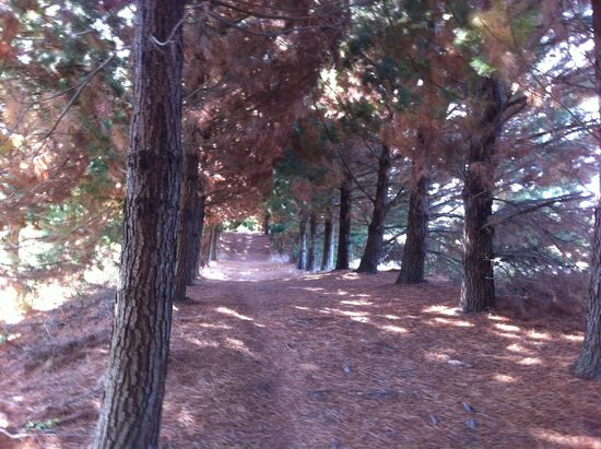 Der Herbst kehrt ein und macht auch vor Mountainbike Strecken kein Halt