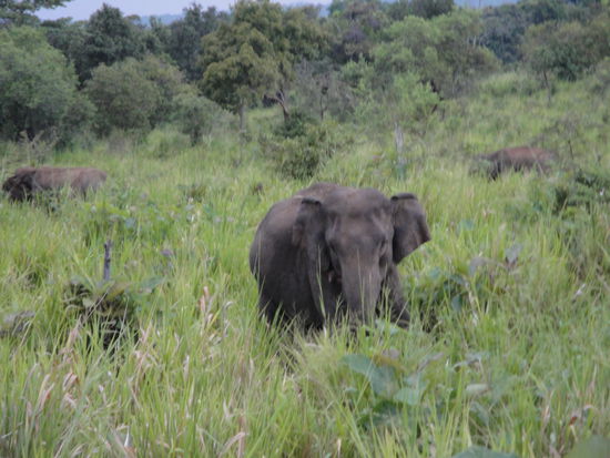 So das ist dann nah genug - aber richtig beeindruckend.