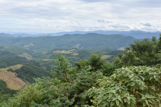 Klare Sicht auf die Berg, und Dschungelwelt