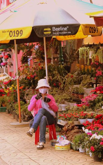 Da Lat - Auch das Zentrum für Blumen