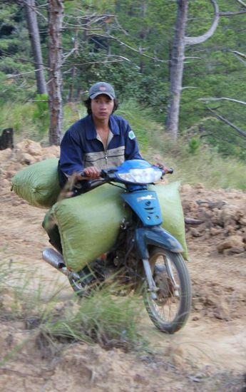 Kaffeetransport per Mofa