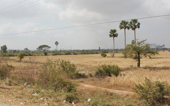 Landschaft auf dem Weg zur Gedenkstätte
