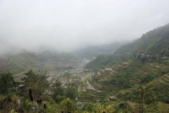 Reisterassen in Banaue - Schnell ein Foto machen bevor die Wolken wieder davor sind.