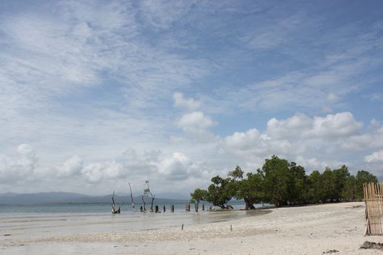 White Sandy Beach - Ebbe