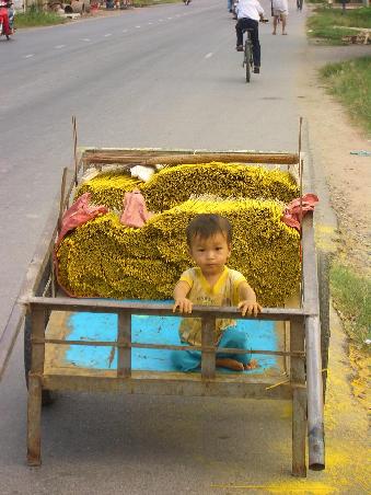 Im Wagen vor mir....
(Das gelbe im Wagen sind Raeucherstaebchen)