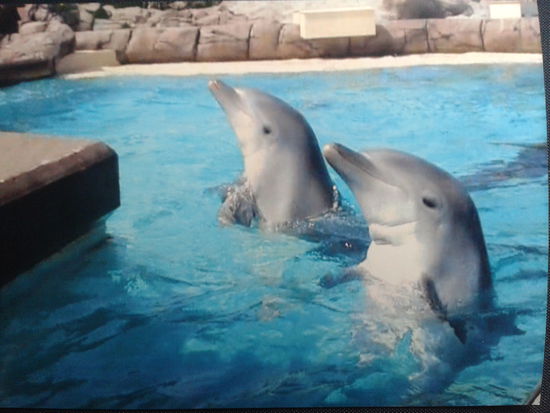 Einmal bin ich ohne Vorwarnung ziemlich nass geworden...