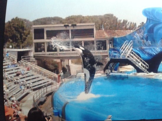 Huch, real sah der aber größer aus 