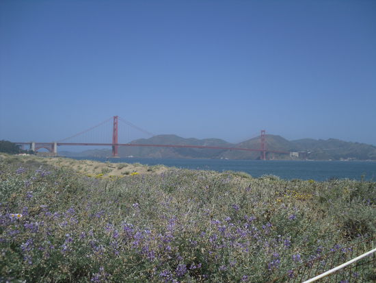 Die Brücke vom Weiten. So lang war mein Weg noch...