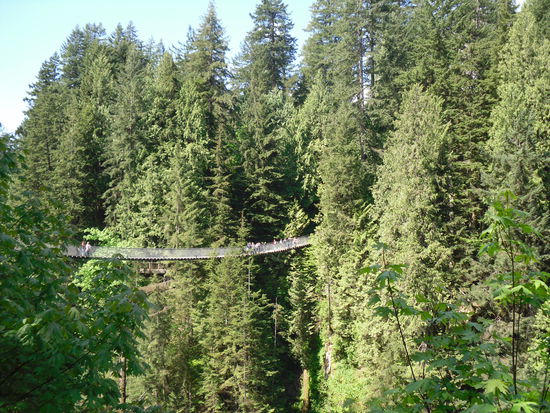 Die Hängebrücke