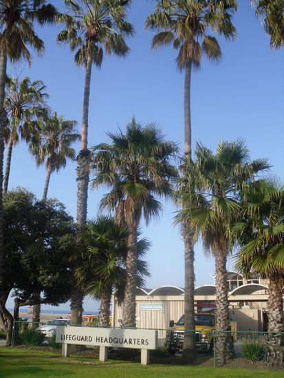 Baywatch Hauptquartier