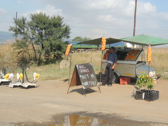 Hier kann man Orangen und Kronleuchter kaufen 