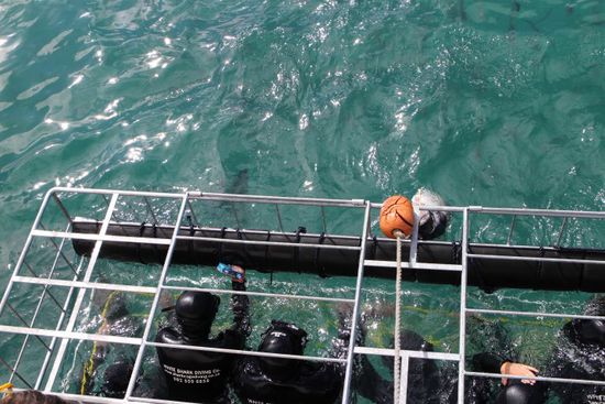 Wieder ich mit meiner Unterwasserkamera 