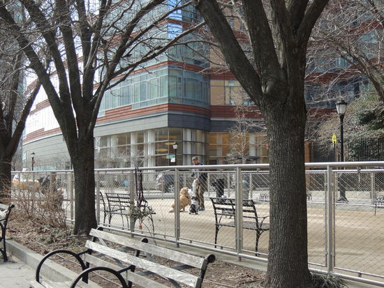 "Hundepark" in New York