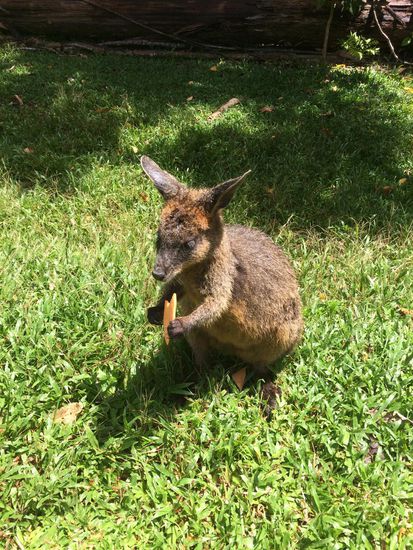 Die waren sooo niedlich 