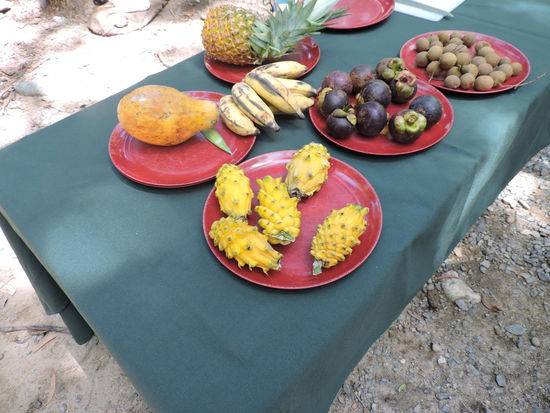 Exotische Früchte zum probieren. Danach gab es noch selbstgebackenes Bananenbrot mit Ahornsirup
