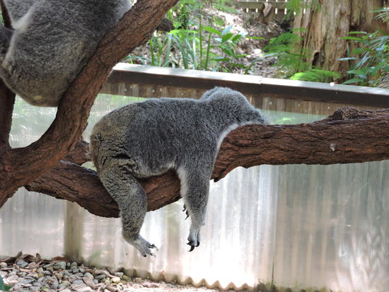 So fühle ich mich immer Montags
