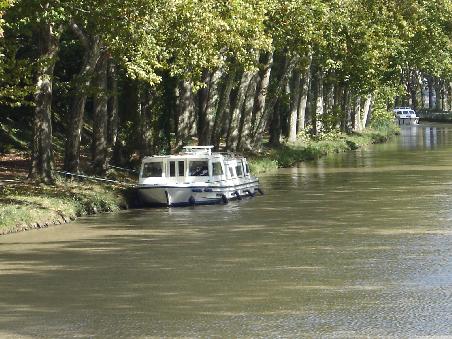 Angelegt an den Platanen in Ventenac-en-Minervois.