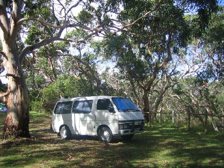 3. Nacht im Otway National Park mit Koala als Nachbarn