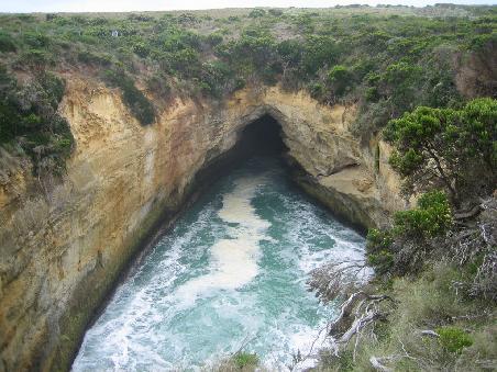 Blowhole