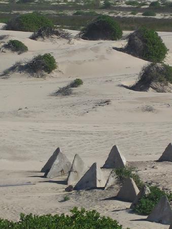 Stockton Beach