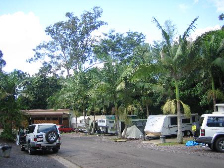 Rainforrest Caravan Park in Nambour
