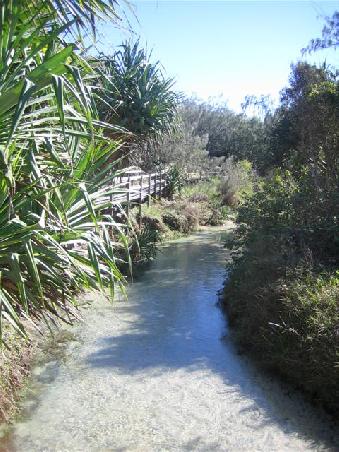 Eli Creek